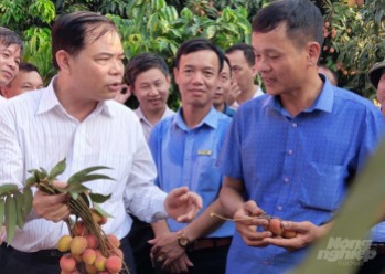 Bộ trưởng Nguyễn Xuân Cường trò chuyện cùng người trồng vải tại huyện Thanh Hà.