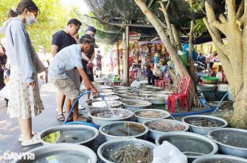 Các quán ăn, nhà hàng ở Cù Lao Chàm bắt đầu đông khách trở lại; cuộc sống của người dân, người làm dịch vụ du lịch ở Cù Lao Chàm cũng đã cải thiện đáng kể.
